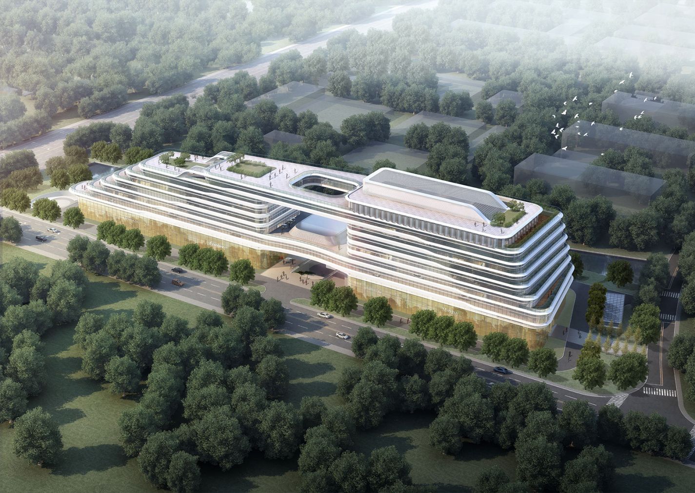 emcױ(й)ٷվ-EMC SPORTS